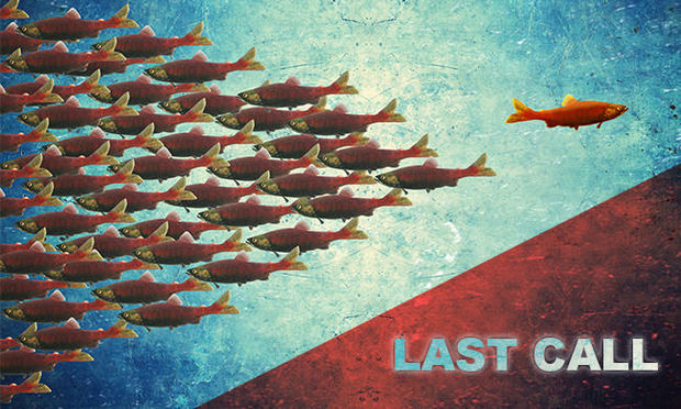 Opendeurdagen bij Igepa!