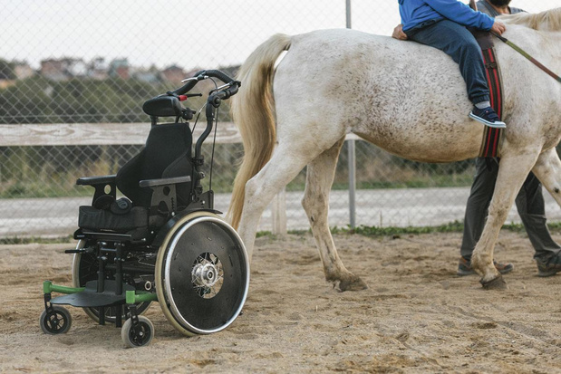 Intégrer la zoothérapie dans le parcours de soins 