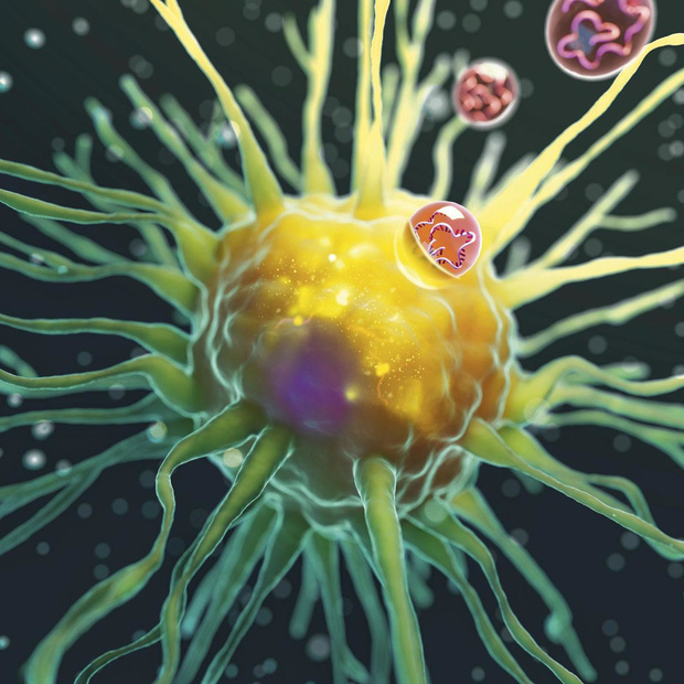 Des vaccins contre le cancer apportent de l'espoir 