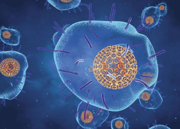 Le zona pendant le traitement contre le cancer: la triple peine 