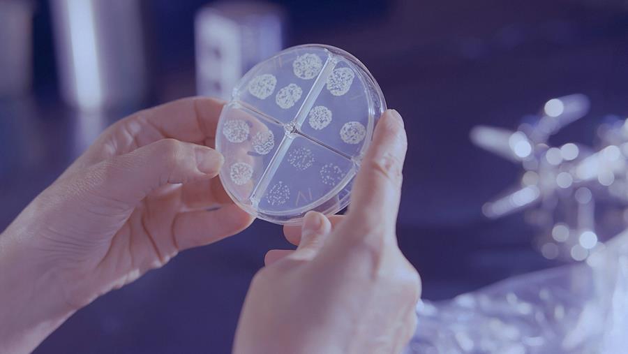 Therapeutische aanwinsten bij tuberculose