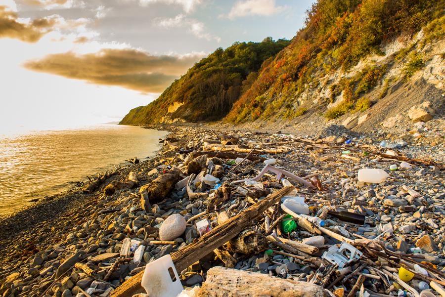 Littoral français : Pesticides et restes de médicaments retrouvés notamment dans les mollusques
