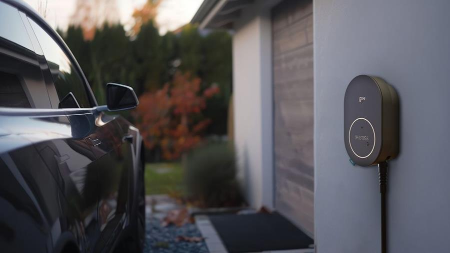 Succesvol jubileumjaar voor go-e